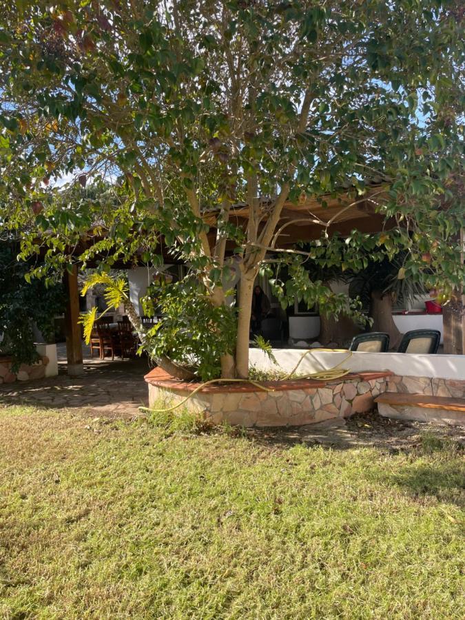 Roy House Villa Alghero Dış mekan fotoğraf