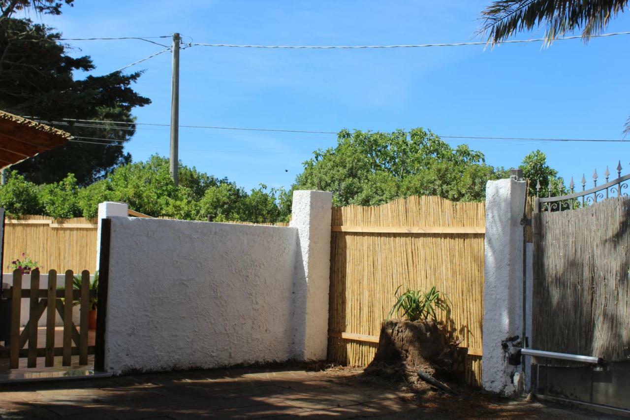 Roy House Villa Alghero Dış mekan fotoğraf